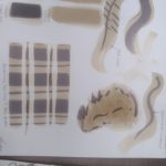Experimenting with Oak Gall ink