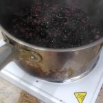 Making Berry Ink