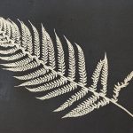 Andrew Morris Monoprint Fern Negative