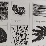 Karen O' Brien Drawing Study