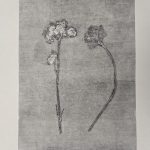 Photo 6 from Monotype work shop with David Begley Feb '25